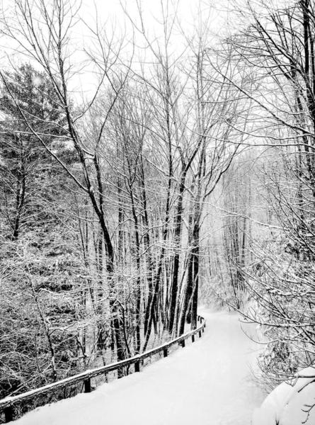 Morning reflections, on a snowy cold day, on things I have learned during my growth as an artist.